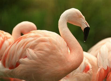 THE 10 BEST Places to Visit in Burscough (2026)