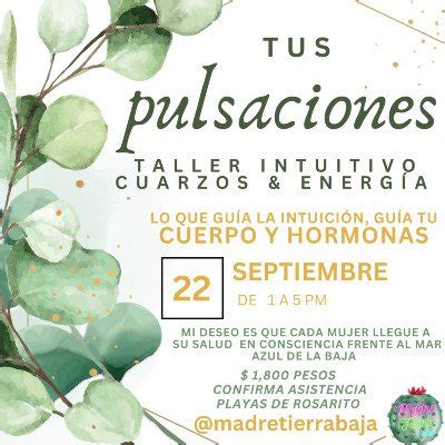 TALLER PARA ALINEAR LA PINEAL "PULSACIONES" , ROSARITO, 22 September ...