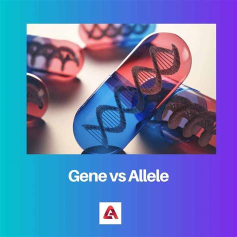 Gene vs Allele: Difference and Comparison