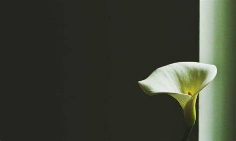 Image result for Data Structures Algorithms Programs