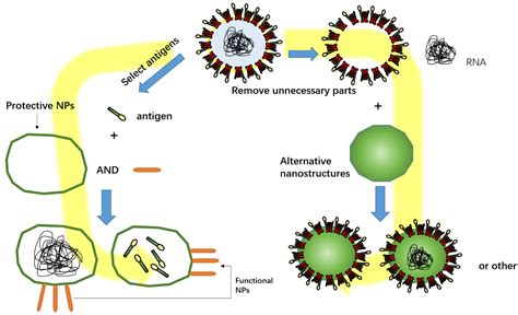 Nasal Nanovaccines for SARS-CoV-2 to Address COVID-19