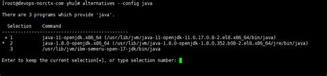 Image result for How to Install IBM Semeru Java 7