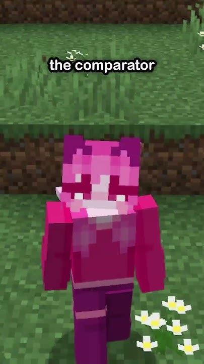 Image result for How Do Comparators Work Minecraft