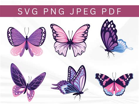Image result for Simple Butterfly Tags SVG