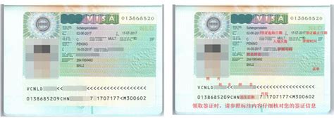持荷兰护照申请ESTA可以去美国工作吗？_美国ESTA签证填写攻略_美国签证中心网站