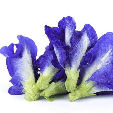 Ingredients – Hiral Health