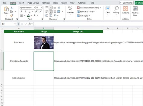 Image result for Adding Bing URL to Excel