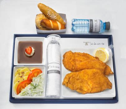 Austrian Airlines Airbus 320 (DE)