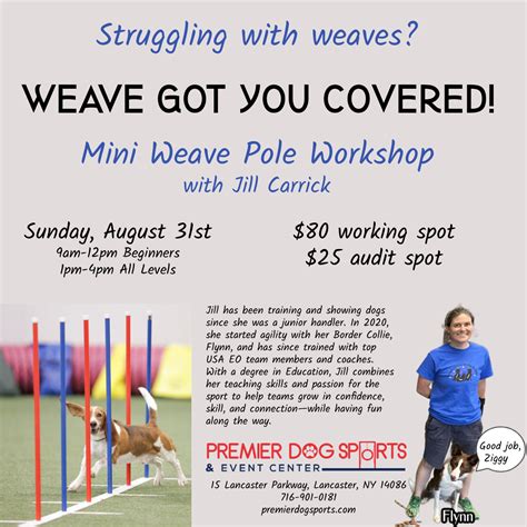 Weave Got You Covered Weave Pole Workshop in Lancaster, NY | Premier ...