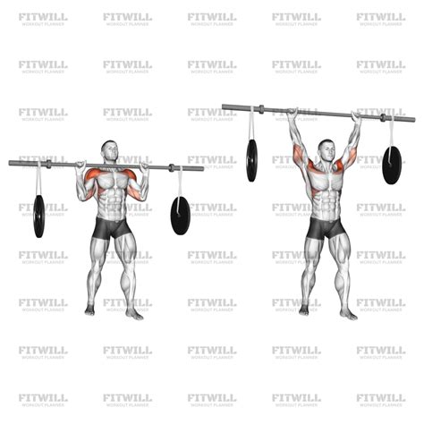 Barbell Military Press (with Hanging Band Technique): Exercise Guide ...