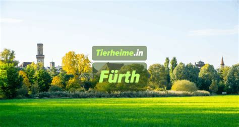 Tierheim Fürth & 5 Tierheime in der Nähe entdecken