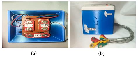 Portable Facial Expression System Based on EMG Sensors and Machine ...