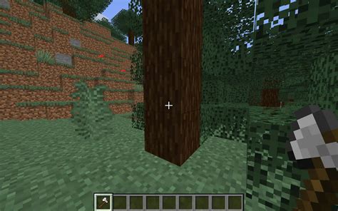 Spruce Wood Minecraft