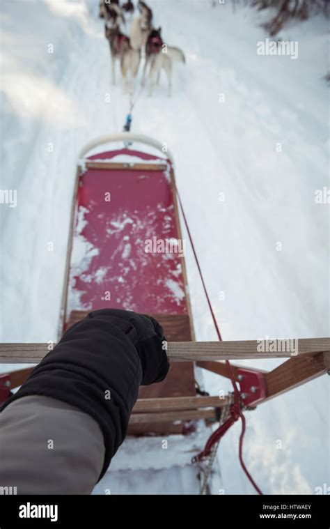 Image result for Sledge Riding