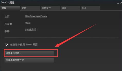 新版steam设置启动项不见了,dota2启动项在哪里 - 品尚生活网