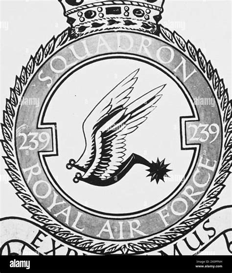 Photograph from 1943 showing the crest and motto 'Exploramus' of No.239 ...