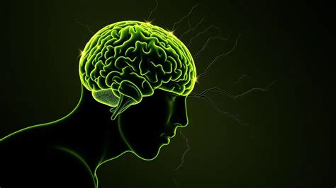 Image result for Artificial Intelligence Basics