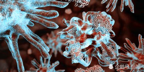 科学家认为米米病毒是第四种新的生命形式(2)_科学探索_科技时代_新浪网