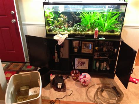 Image result for Fluval 306 Problems