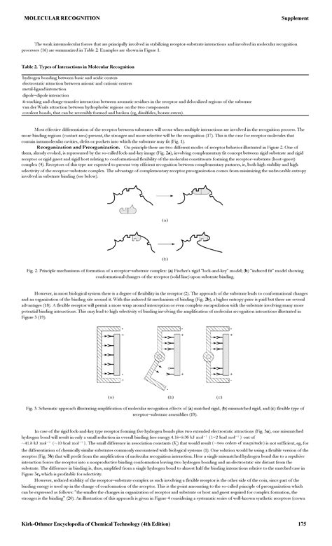 Function Key Model 的图像结果