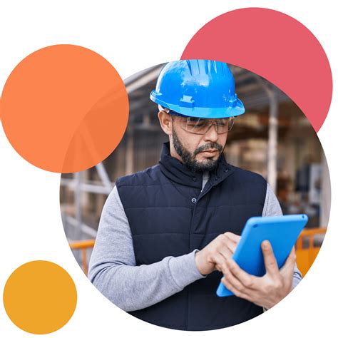 Intelex Software 的图像结果