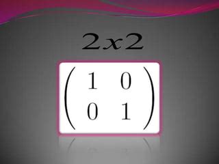 Tutorials Inverse Matrices 的图像结果