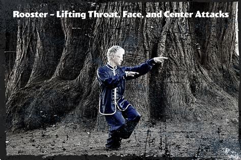 Xing Yi Quan - 10000 Victories Kung Fu