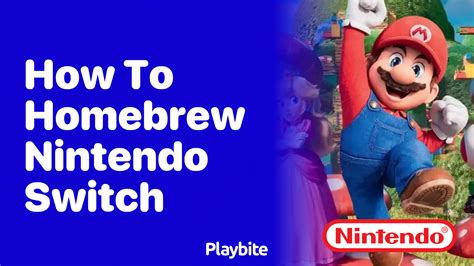 Image result for Switch Homebrew