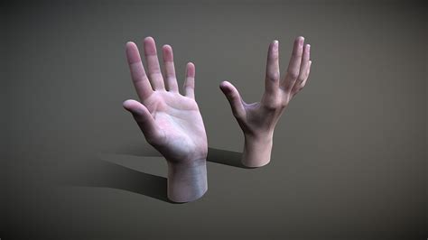 Female Hand 3D Model at JENENGE blog