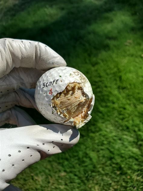 The inside of this golf ball is just a ball of rubber bands : r/mildlyinteresting