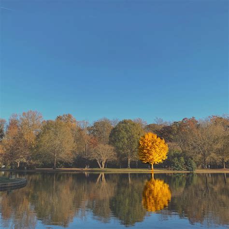 Autumn in Freedom Park, Charlotte, NC [2822x2822] [OC] | Scrolller
