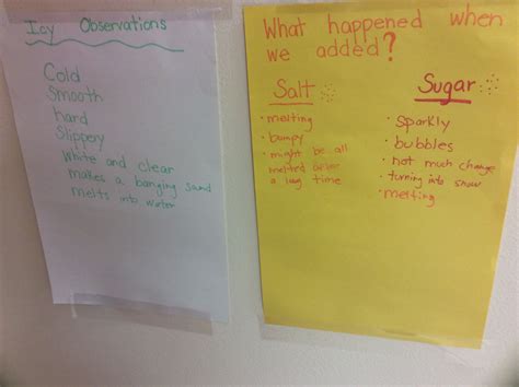 Observation vs experiment - sportloki