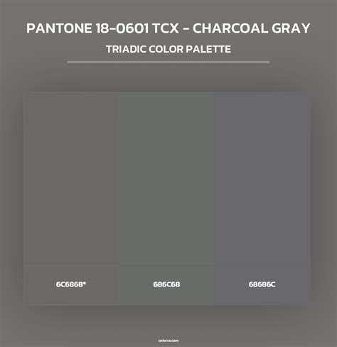 PANTONE 18-0601 TCX - Charcoal Gray color palettes - colorxs.com
