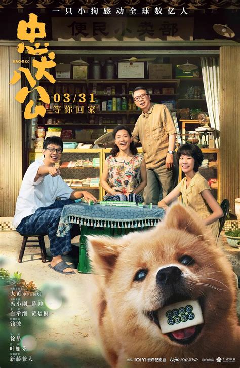 中国版《忠犬八公》来了！在重庆取景拍摄，“八公”改名“八筒”