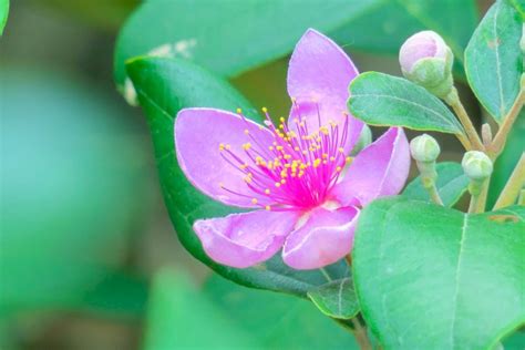 Nim Interview Questions and Answers for freshers - HelloIntern.in - Blog