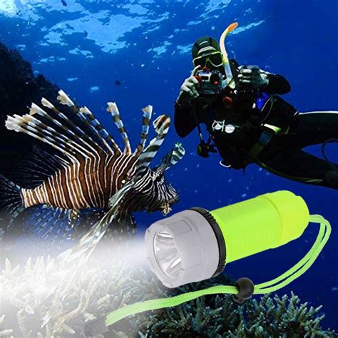 Image result for Diving Flashlight