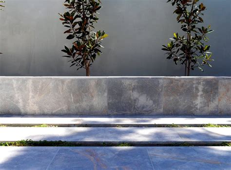 Image result for Silver Ash Color