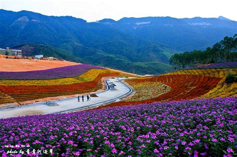 厦门周边游丨漳州长泰花仙谷休闲游-旅游攻略-游记-去哪儿攻略