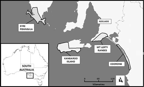 Exposure to traffic noise weakens territory defence in the Southern Emu ...