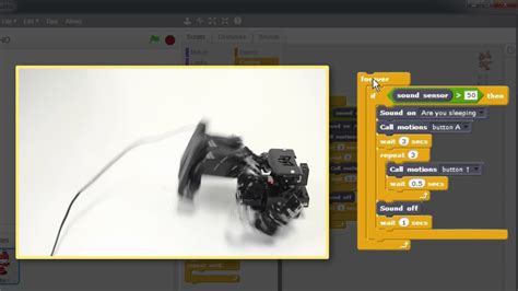 Image result for Program versus Project