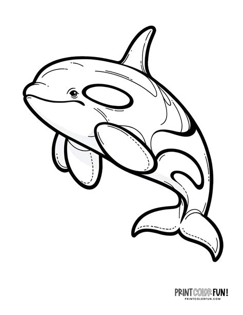 Orca coloring pages: Killer whale clip art & 10 fun crafts & learning ...