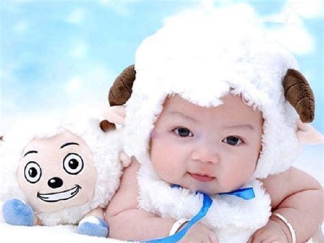 最新最可爱的羊宝宝取名大全 -好名字网