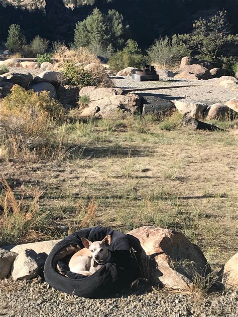 Hecla Junction Campground — Arkansas Headwaters Recreation Area ...