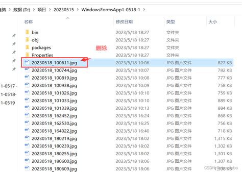 Visual Basic OpenFileDialog 的图像结果