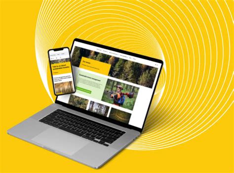 Image result for Forest and Trees Cyber Security Software