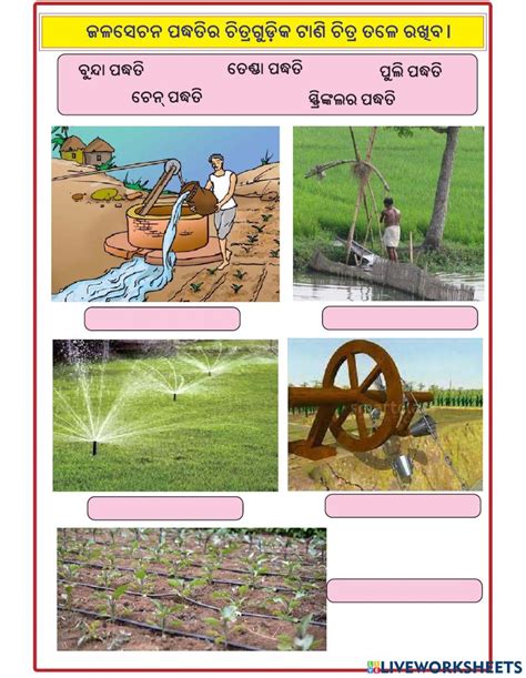 8th Standard Science 1st Lesson Exercise 的图像结果