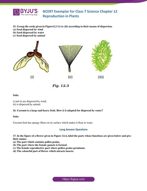 Image result for Class 7 Science Chapter 12 Exercise