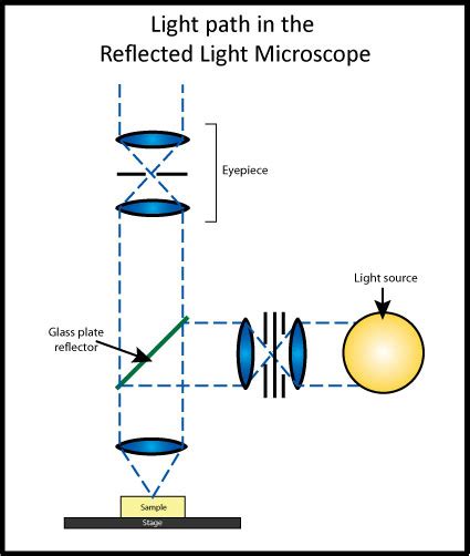 Image result for Refraction of Light in Microscope Images