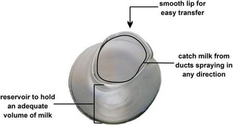 Image result for Hand Expressing Milk Storage