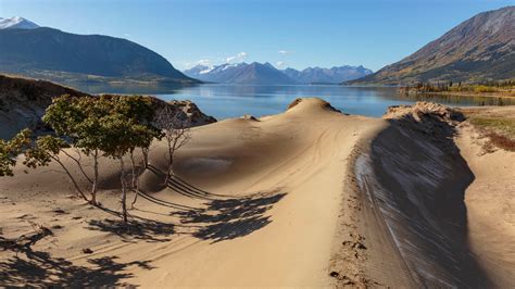 The Carcross Desert: Exploring The Smallest Desert In The World